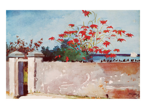 Wall, Nassau, c.1898 By Winslow Homer